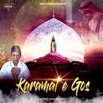 Karamat e Gos - Hafiz Jamal Qawwal Song Download